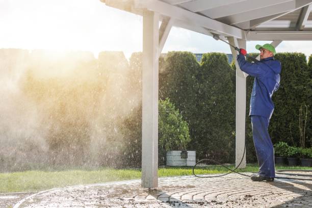 Best Solar Panel Cleaning  in Scottsville, NY